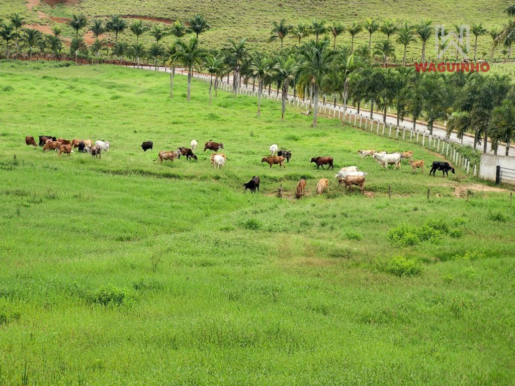 Fazenda 
