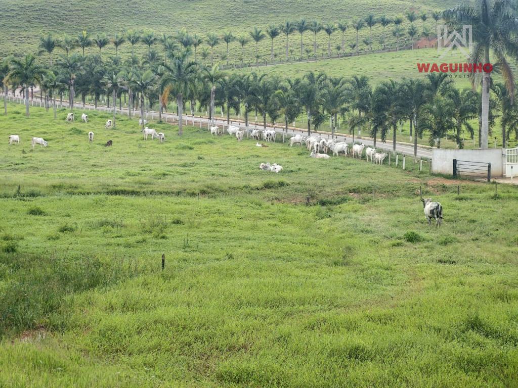 Fazenda 