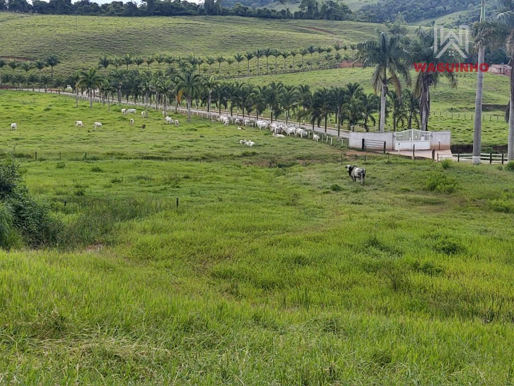 Fazenda 