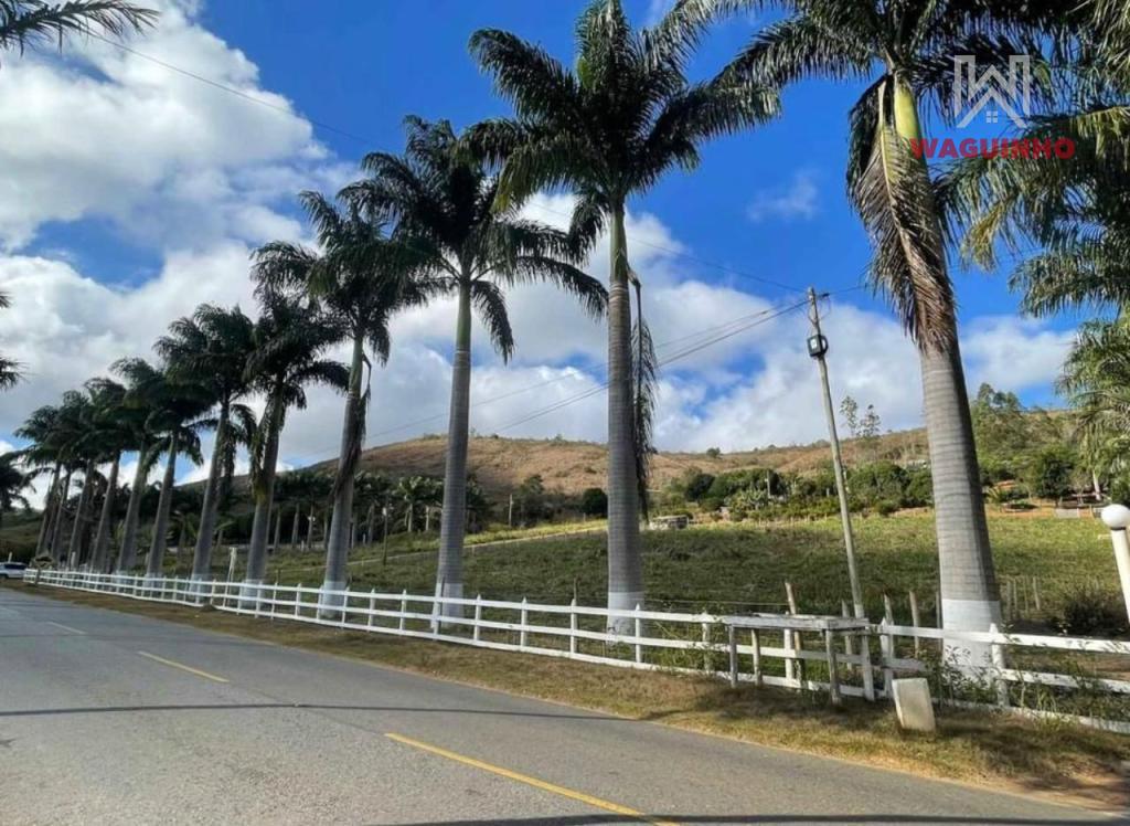 Lote