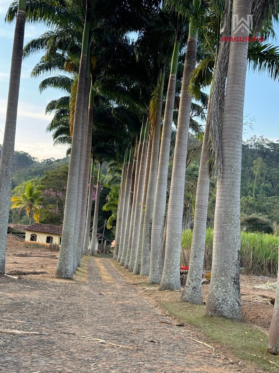 Fazenda 